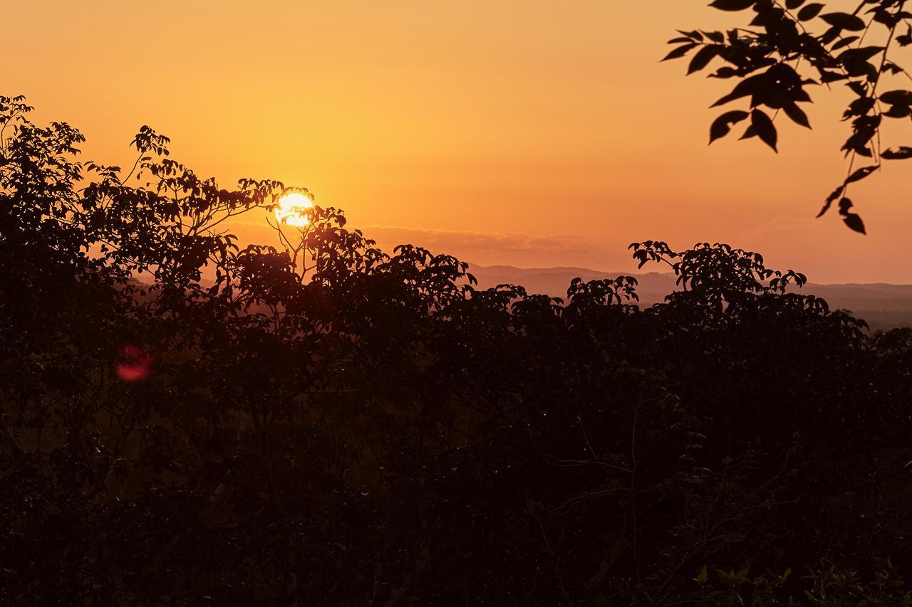 Amber Sunset Jungle Resort Сан-Ігнасіо Екстер'єр фото